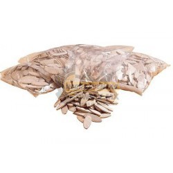 Galleta N° 10 Porter Cable 5552